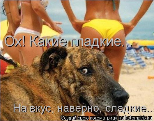Котоматрица: Ох! Какие гладкие... На вкус, наверно, сладкие...