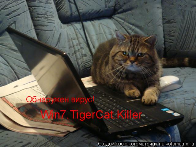 Котоматрица: Обнаружен вирус! Win7.TigerCat.Killer