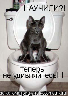 НАУЧИЛИ?! теперь не удивляйтесь!!!... Котоматрица: НАУЧИЛИ?! теперь не удивляйтесь!!!
