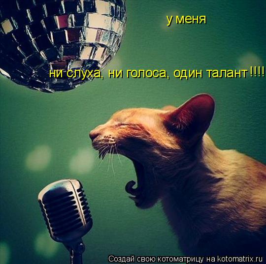 Котоматрица: ни слуха, ни голоса, один талант !!!! у меня