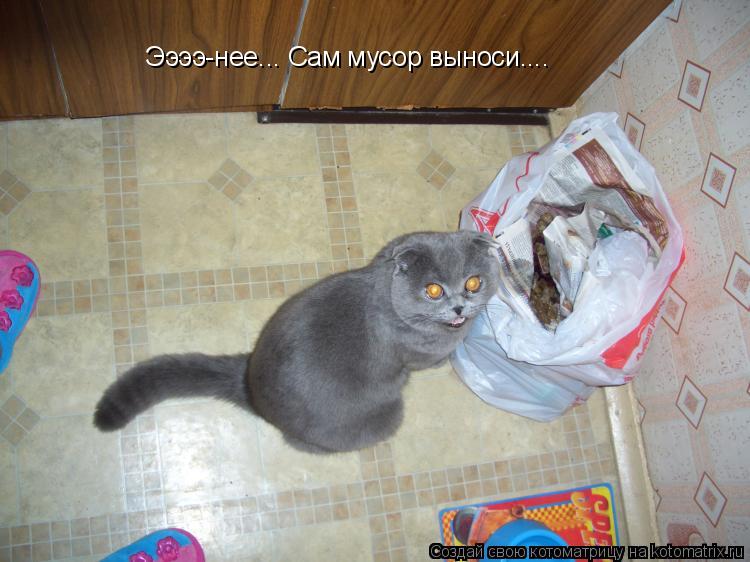 Котоматрица: Ээээ-нее... Сам мусор выноси....