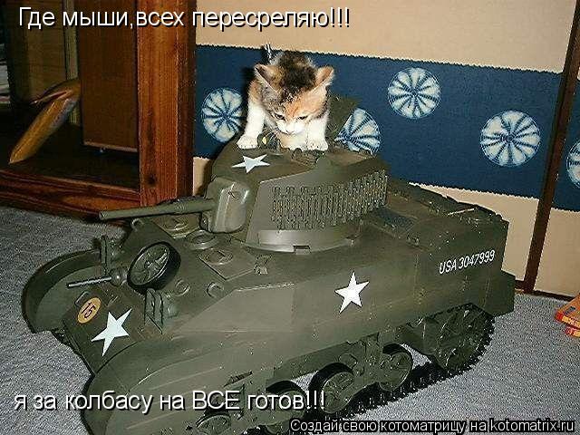 Где мыши,всех пересреляю!!! я за колбасу на ВСЕ готов!!!... Котоматрица: Где мыши,всех пересреляю!!! я за колбасу на ВСЕ готов!!!