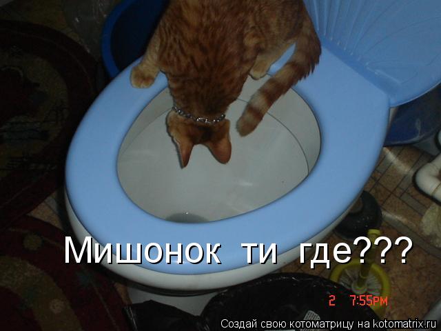 Котоматрица: Мишонок  ти  где???