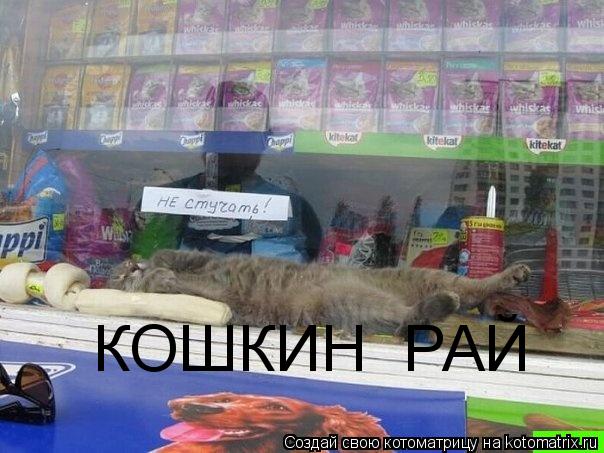Котоматрица: КОШКИН  РАЙ