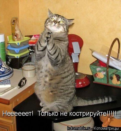 Котоматрица: Неееееет!  Только не кострируйте!!!!!