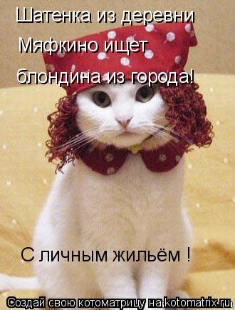Шатенка из деревни Мяфкино ищет блондина из города! С личным жильём !... Котоматрица: Шатенка из деревни Мяфкино ищет блондина из города! С личным жильём !