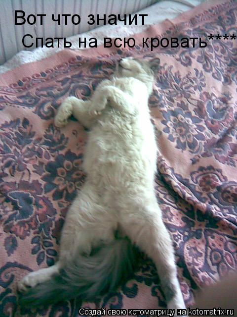 Котоматрица: Вот что значит Спать на всю кровать****