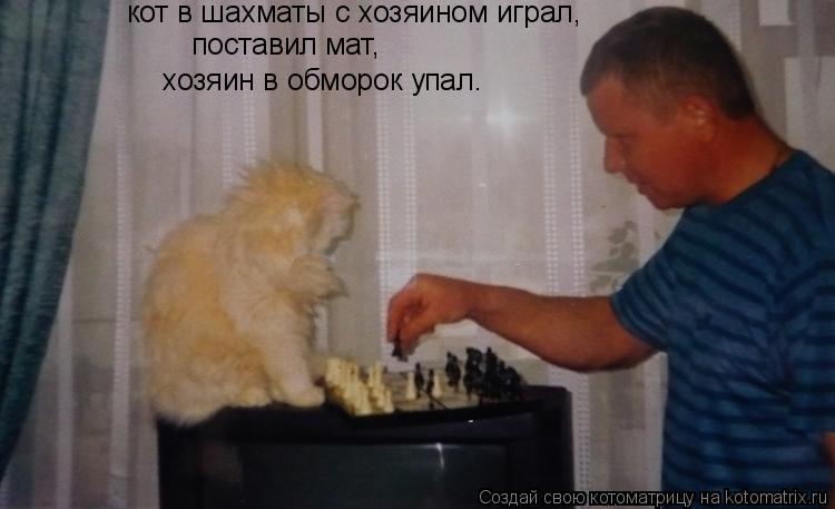 Котоматрица: кот в шахматы с хозяином играл, хозяин в обморок упал. поставил мат,