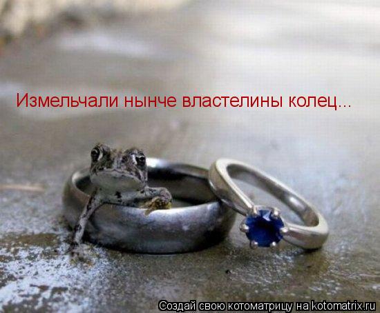 Котоматрица: Измельчали нынче властелины колец...