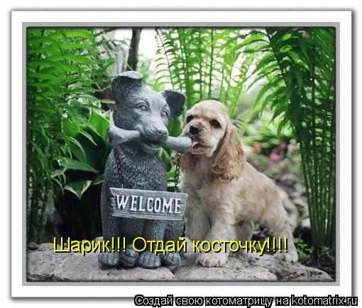 Котоматрица: Шарик!!! Отдай косточку!!!!