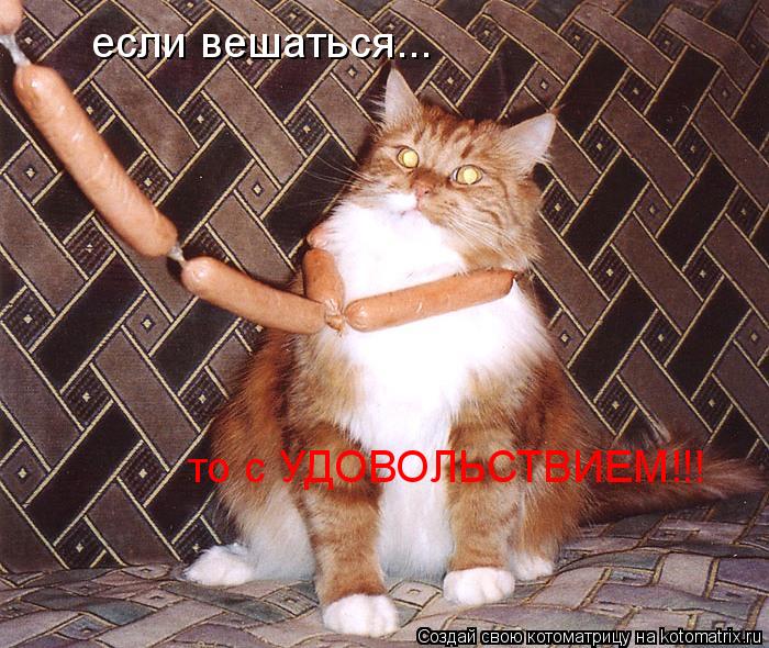 Котоматрица: если вешаться... то с УДОВОЛЬСТВИЕМ!!!