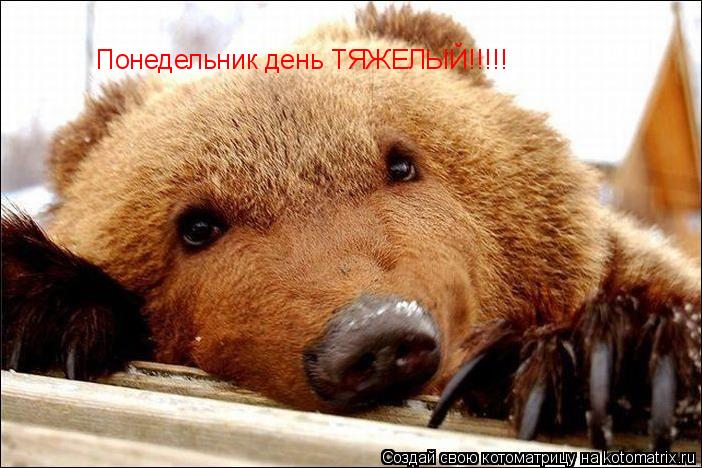 Понедельник день ТЯЖЕЛЫЙ!!!!!... Котоматрица: Понедельник день ТЯЖЕЛЫЙ!!!!!
