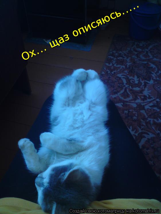 Котоматрица: Ох... щаз описяюсь.....