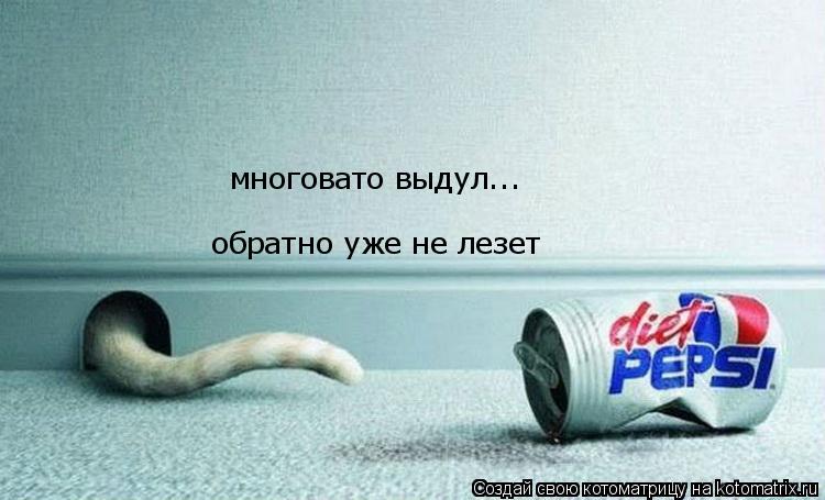 Котоматрица: обратно уже не лезет многовато выдул...