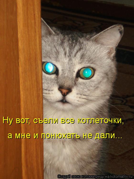 Ну вот, съели все котлеточки, а мне и понюхать не дали...... Котоматрица: Ну вот, съели все котлеточки, а мне и понюхать не дали...