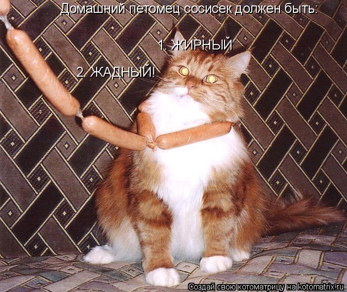 Котоматрица: Домашний петомец сосисек должен быть: 1. ЖИРНЫЙ 2. ЖАДНЫЙ! 2. ЖАДНЫЙ!