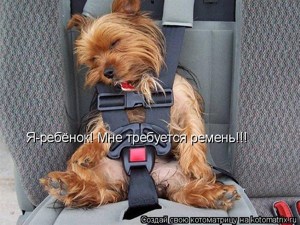 Я-ребёнок! Мне требуется ремень!!!... Котоматрица: Я-ребёнок! Мне требуется ремень!!!