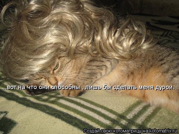 Котоматрица: ...вот на что они способны , лишь бы сделать меня дурой.