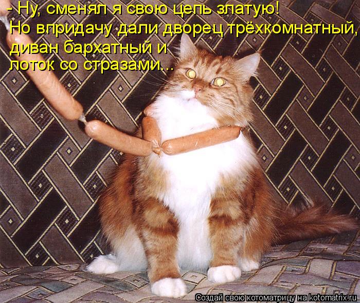 Котоматрица: - Ну, сменял я свою цепь златую! лоток со стразами... Но впридачу дали дворец трёхкомнатный, диван бархатный и
