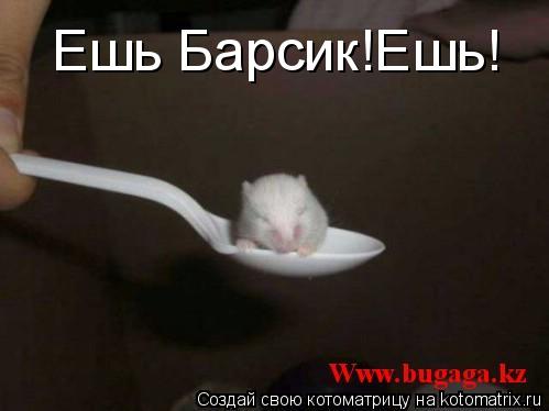 Котоматрица: Ешь Барсик!Ешь!
