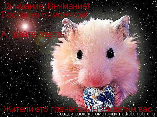 Котоматрица: Внимание..Внимание! Послание от момяков! Жители это планеты!Мы захватим вас А...дайте поесть