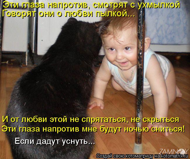 Котоматрица: Эти глаза напротив, смотрят с ухмылкой Говорят они о любви пылкой... Эти глаза напротив мне будут ночью сниться! И от любви этой не спрятатьс