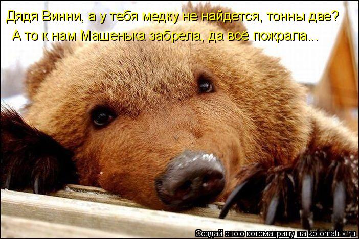 Дядя Винни, а у тебя медку не найдется, тонны две? А то к нам Машенька забрела, да всё пожрала...... Котоматрица: Дядя Винни, а у тебя медку не найдется, тонны две? А то к нам Машенька забрела, да всё пожрала...