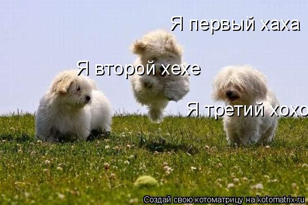 Котоматрица: Я первый хаха Я второй хехе Я третий хохо