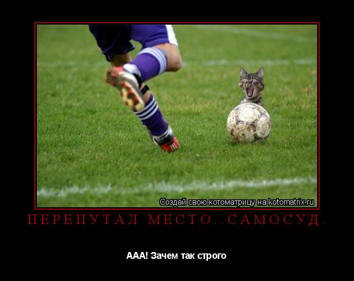 Котоматрица: перепутал место..Самосуд. ААА! Зачем так строго