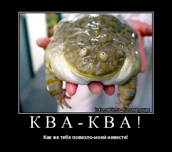 Котоматрица: Ква-Ква! Как же тебе повезло-моей невесте!