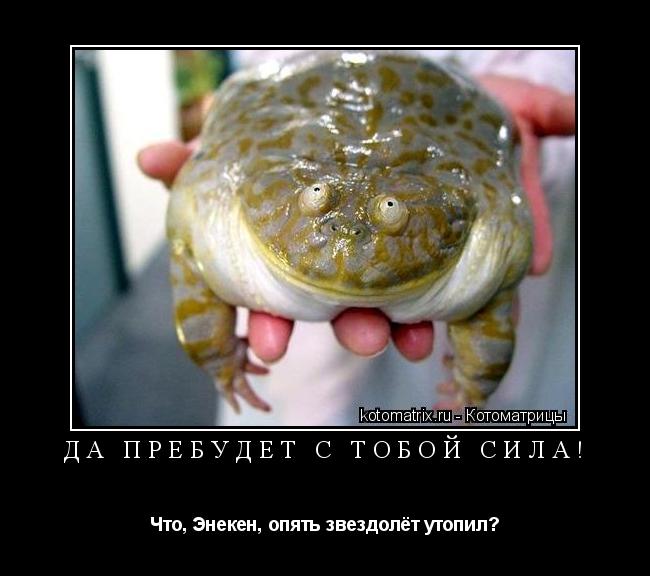 Котоматрица: Да пребудет с тобой сила! Что, Энекен, опять звездолёт утопил?