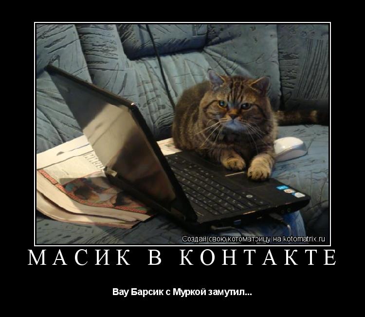 Котоматрица: Масик в контакте Вау Барсик с Муркой замутил...