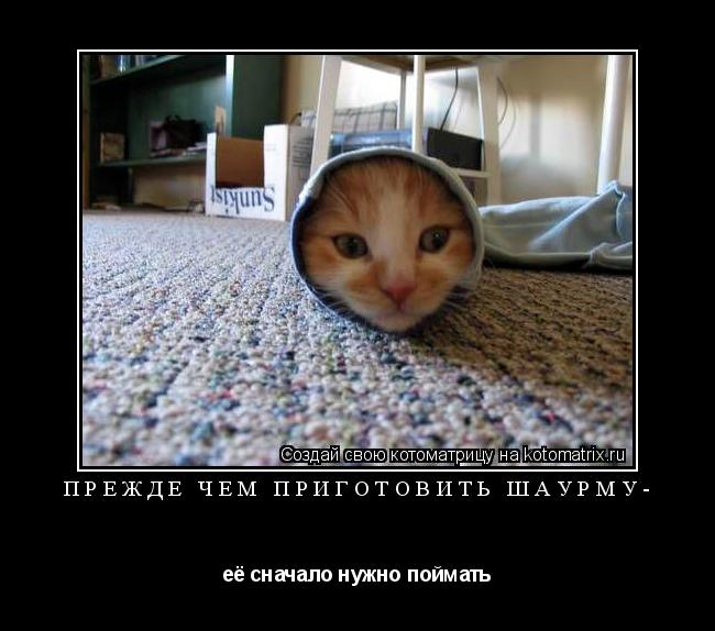 Котоматрица: Прежде чем приготовить шаурму- её сначало нужно поймать