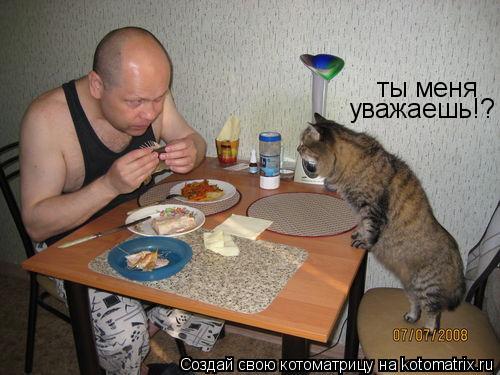 ты меня уважаешь!?... Котоматрица: ты меня уважаешь!?