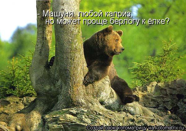 Котоматрица: - Машуня, любой каприз,  но может проще берлогу к ёлке?