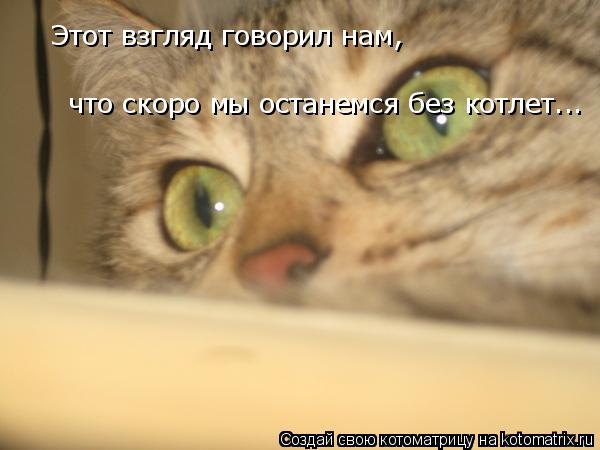 Котоматрица: Этот взгляд говорил нам, что скоро мы останемся без котлет...
