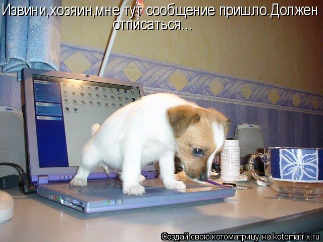 Котоматрица: Извини,хозяин,мне тут сообщение пришло.Должен отписаться...