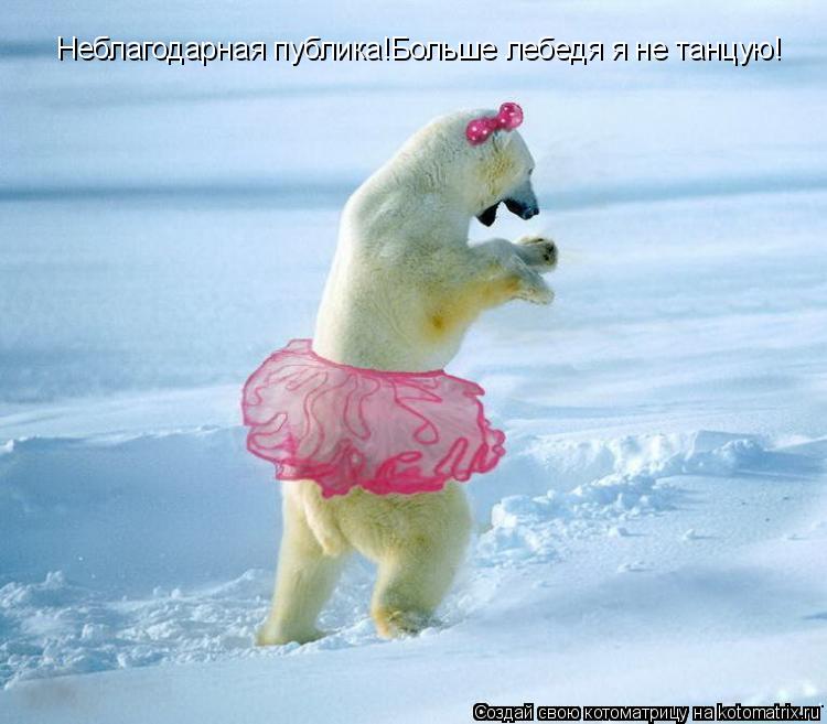 Неблагодарная публика!Больше лебедя я не танцую!... Котоматрица: Неблагодарная публика!Больше лебедя я не танцую!