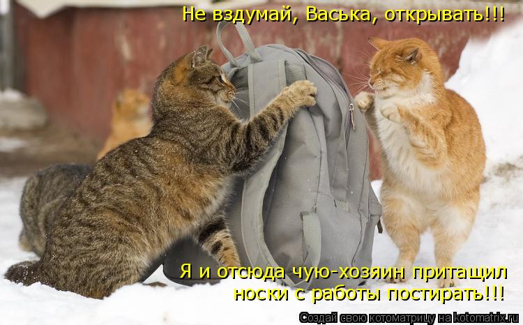 Не вздумай, Васька, открывать!!! Я и отсюда чую-хозяин притащил носки с работы постирать!!!... Котоматрица: Не вздумай, Васька, открывать!!! Я и отсюда чую-хозяин притащил носки с работы постирать!!!