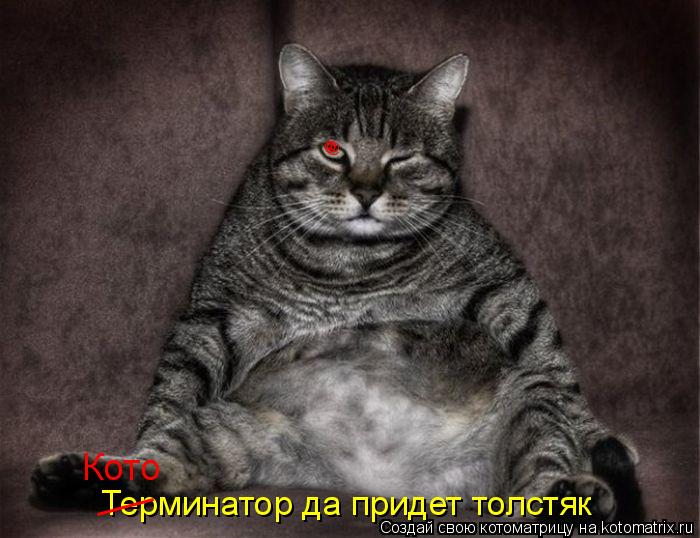 @ @ Кото Терминатор да придет толстяк ___... Котоматрица: @ @ Кото Терминатор да придет толстяк ___