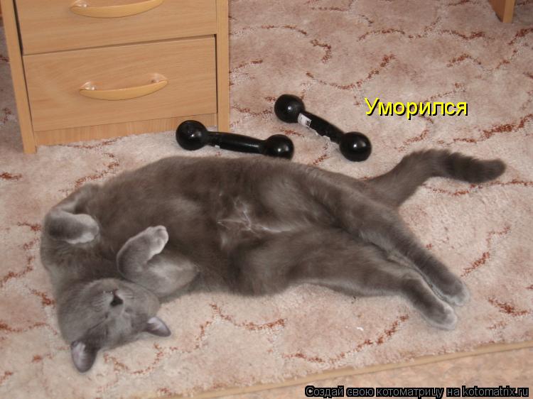 Уморился... Котоматрица: Уморился