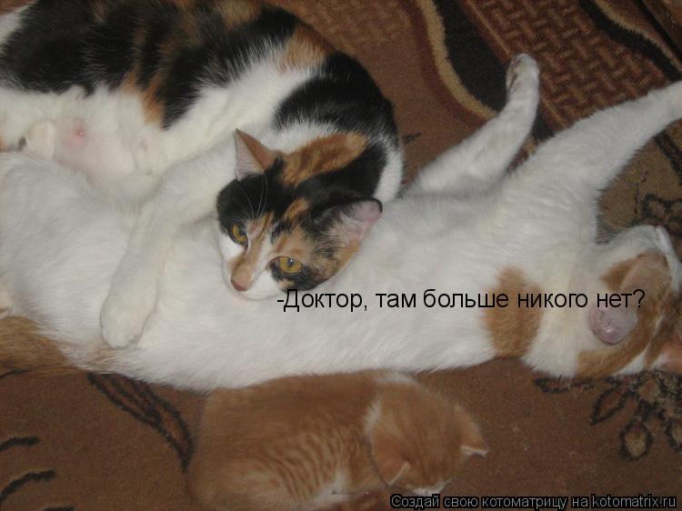 -Доктор, там больше никого нет?... Котоматрица: -Доктор, там больше никого нет?