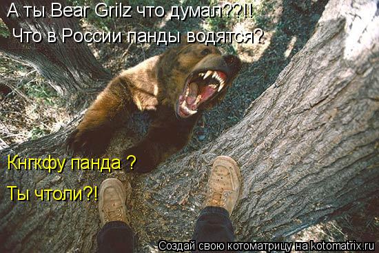 Что в России панды водятся? Кнгкфу панда ? Ты чтоли?! А ты Bear Grilz что думал??!!... Котоматрица: Что в России панды водятся? Кнгкфу панда ? Ты чтоли?! А ты Bear Grilz что думал??!!