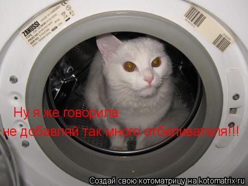 Ну я же говорила не добавляй так много отбеливателя!!!... Котоматрица: Ну я же говорила не добавляй так много отбеливателя!!!