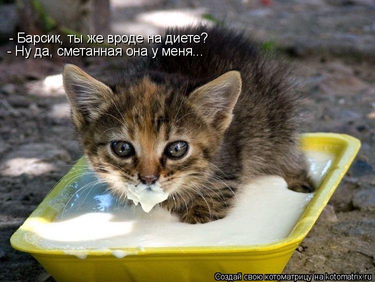 - Барсик, ты же вроде на диете? - Ну да, сметанная она у меня...... Котоматрица: - Барсик, ты же вроде на диете? - Ну да, сметанная она у меня...