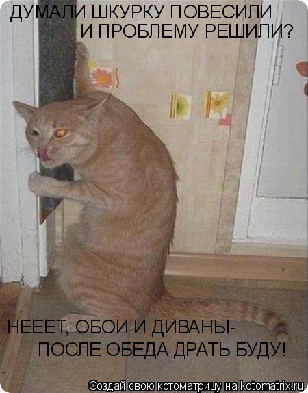 ДУМАЛИ ШКУРКУ ПОВЕСИЛИ И ПРОБЛЕМУ РЕШИЛИ? НЕЕЕТ, ОБОИ И ДИВАНЫ- ПОСЛЕ ОБЕДА ДРАТЬ БУДУ!... Котоматрица: ДУМАЛИ ШКУРКУ ПОВЕСИЛИ И ПРОБЛЕМУ РЕШИЛИ? НЕЕЕТ, ОБОИ И ДИВАНЫ- ПОСЛЕ ОБЕДА ДРАТЬ БУДУ!