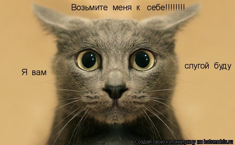 Возьмите меня к себе!!!!!!!! Я вам слугой буду... Котоматрица: Возьмите меня к себе!!!!!!!! Я вам слугой буду