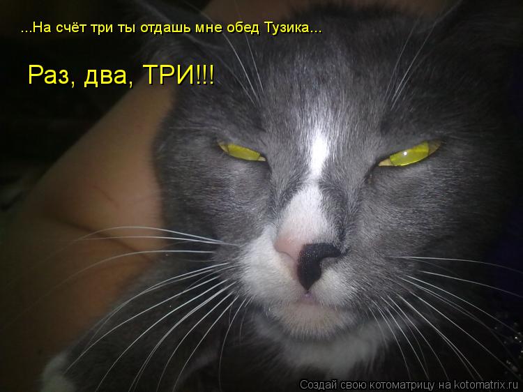 ...На счёт три ты отдашь мне обед Тузика... Раз, два, ТРИ!!!... Котоматрица: ...На счёт три ты отдашь мне обед Тузика... Раз, два, ТРИ!!!