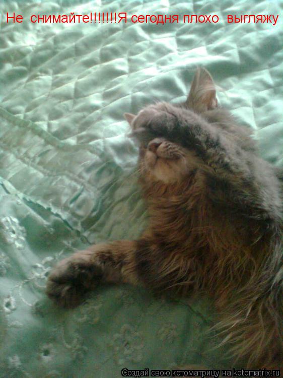 Не снимайте!!!!!!!Я сегодня плохо выгляжу... Котоматрица: Не снимайте!!!!!!!Я сегодня плохо выгляжу