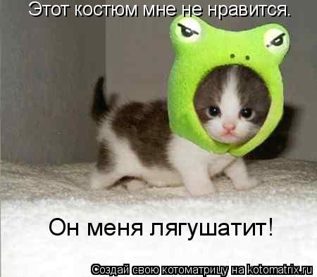 Этот костюм мне не нравится. Он меня лягушатит!... Котоматрица: Этот костюм мне не нравится. Он меня лягушатит!